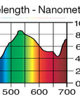 Lee Filters 244 Plus Green