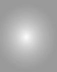 Lee Filters 250 1/2 White Diffusion